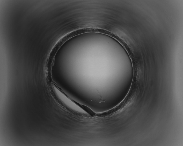 X0000095930926200801111252
