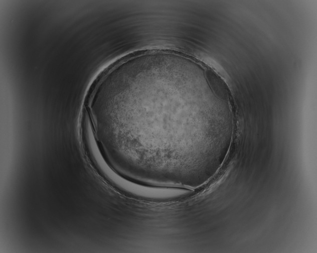 X0000095930928200801111252