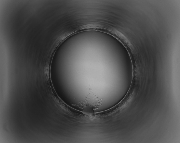 X0000095930937200801111252