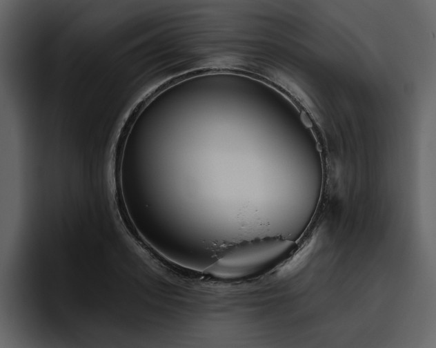 X0000095930939200801111252