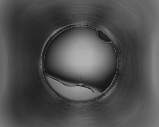 X0000095930940200801111252