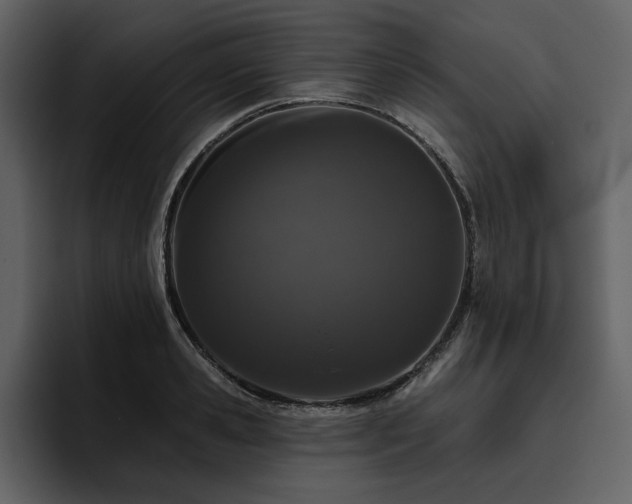X0000095930941200801111252