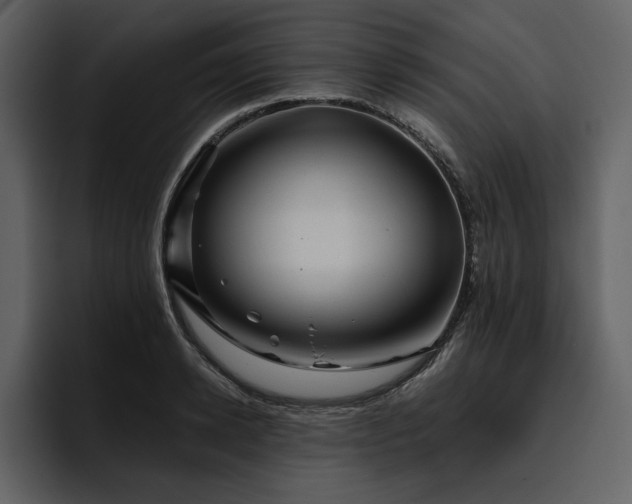 X0000095930942200801111252