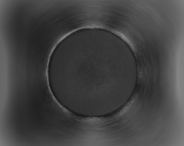 X0000095930943200801111252