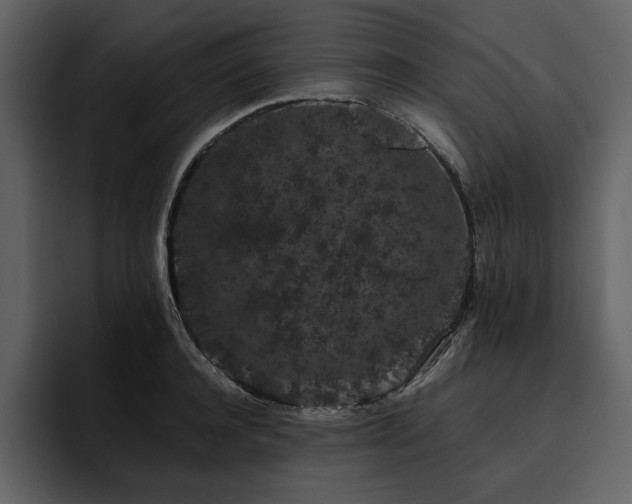 X0000095930944200801111252