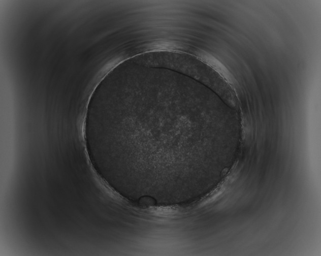 X0000095930946200801111252