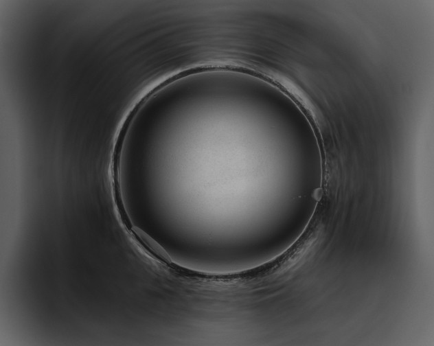 X0000095930951200801111252