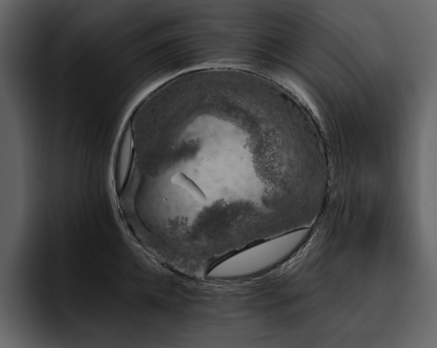 X0000095930952200801111252