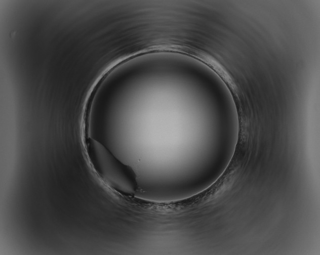 X0000095930955200801111252