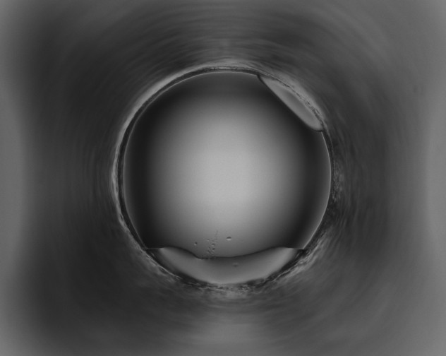 X0000095930959200801111252