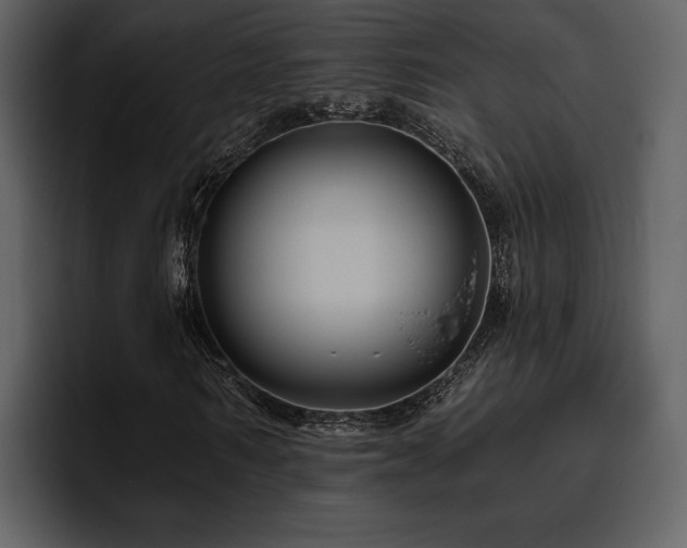 X0000095930962200801111252