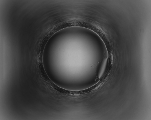 X0000095930965200801111252