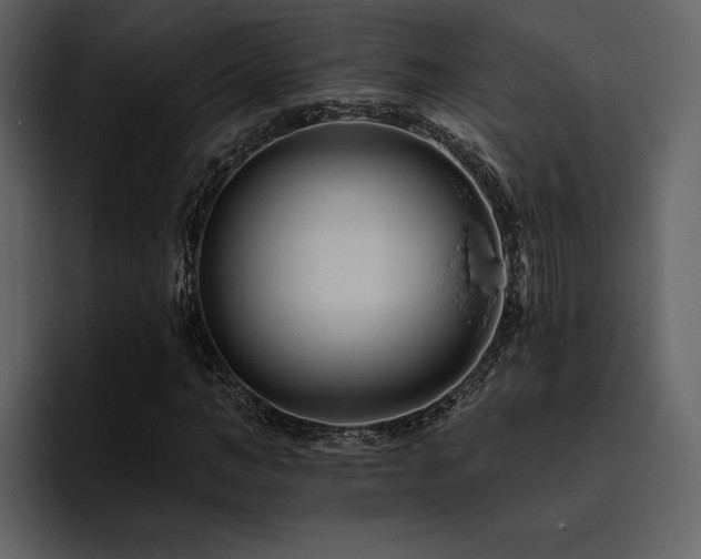 X0000095930966200801111252