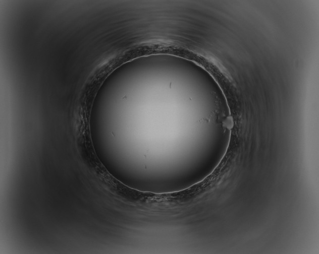X0000095930967200801111252