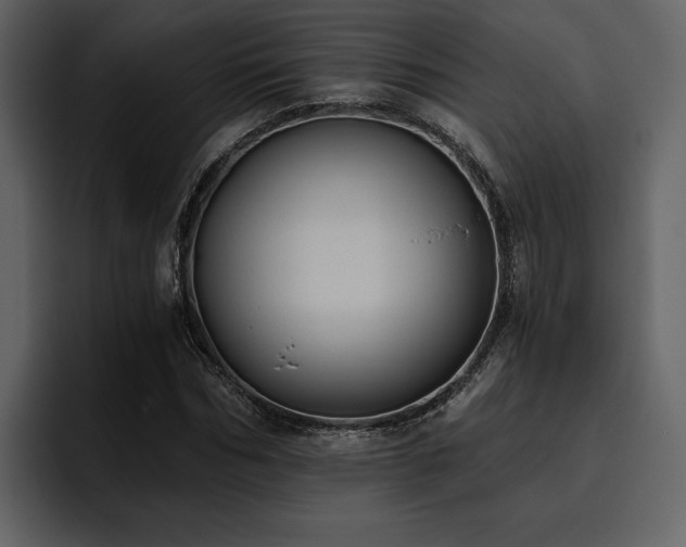 X0000095930970200801111252