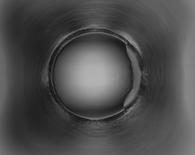 X0000095930972200801111252