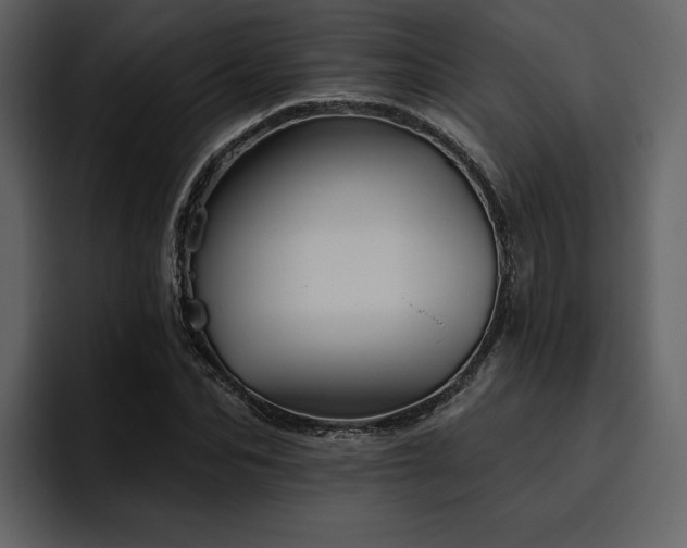 X0000095930974200801111252