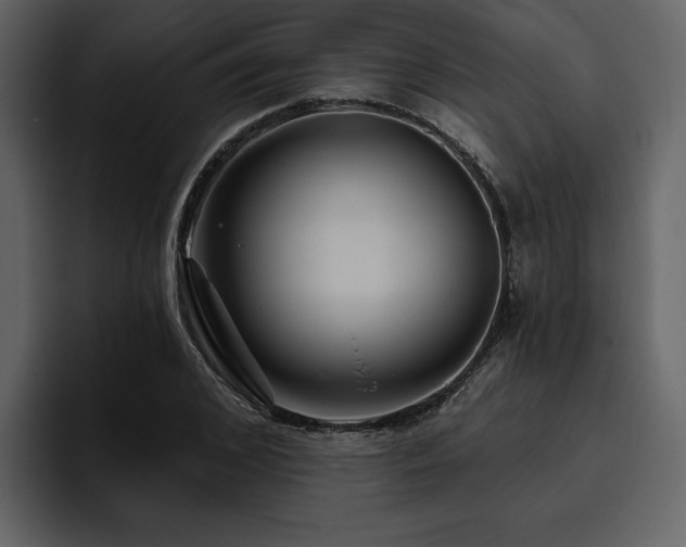X0000095930976200801111252