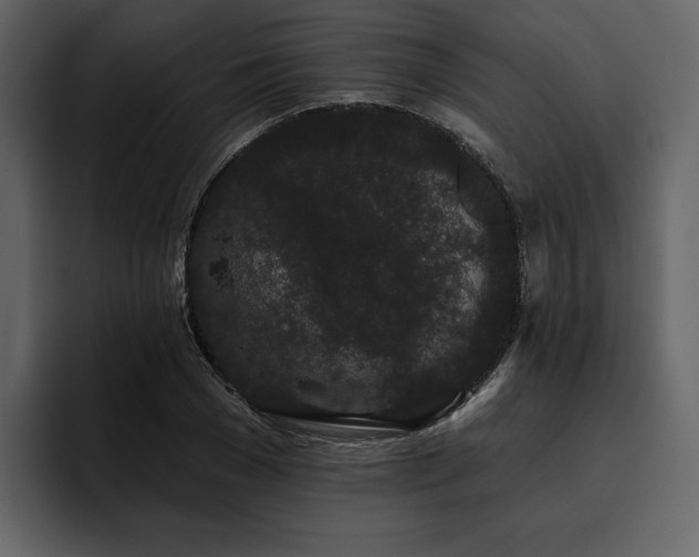X0000095930977200801111252