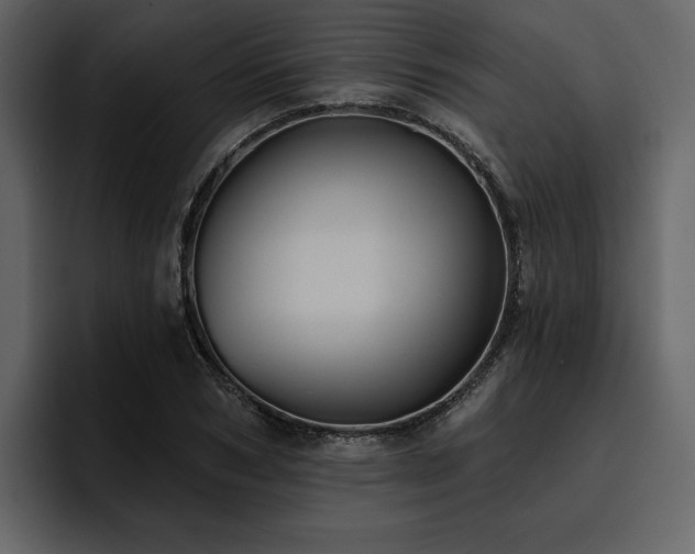 X0000095930978200801111252