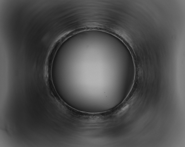 X0000095930979200801111252