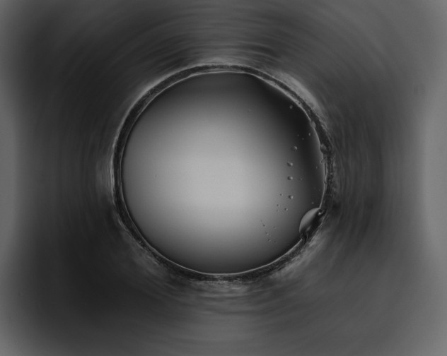 X0000095930980200801111251