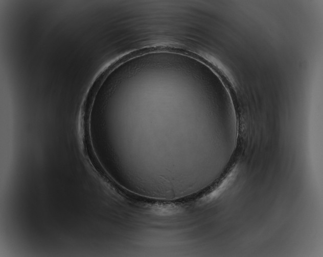 X0000095930983200801111251