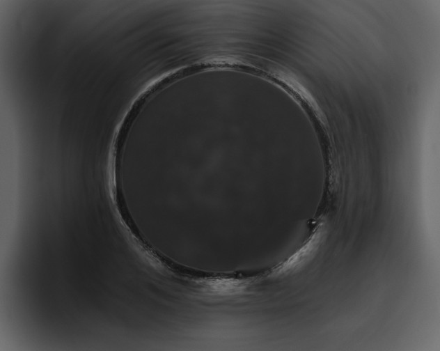 X0000095930984200801111251