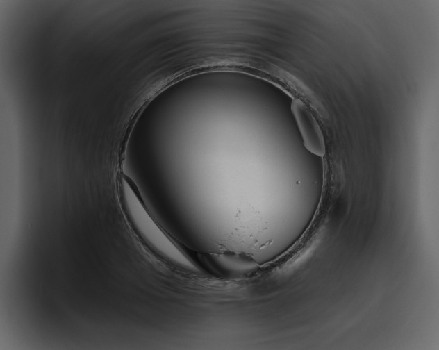 X0000095930985200801111251