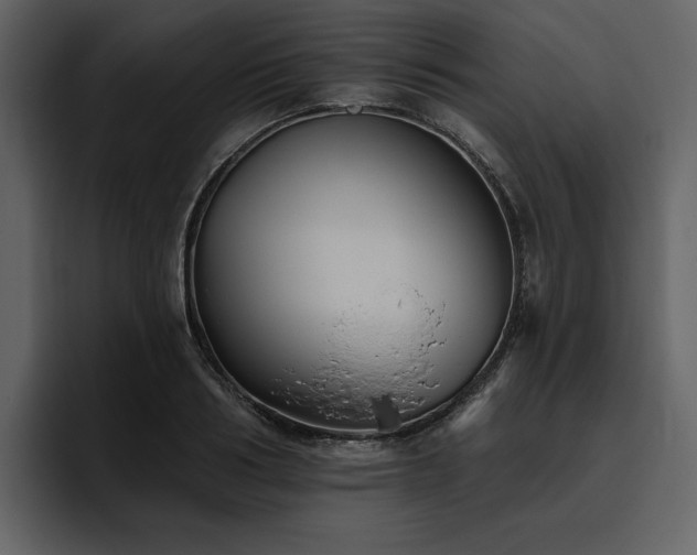 X0000095930986200801111251