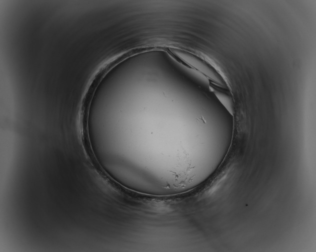X0000095930987200801111251