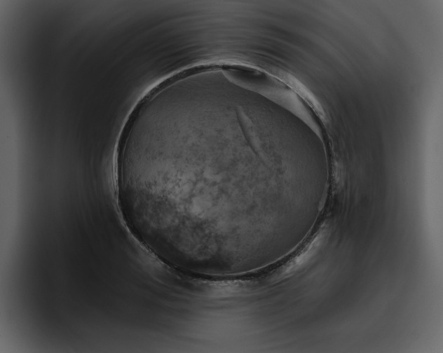 X0000095930988200801111251