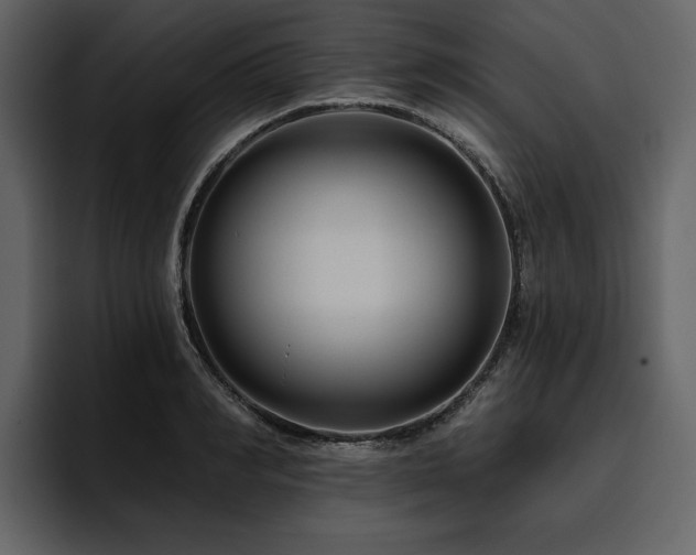 X0000095930990200801111251