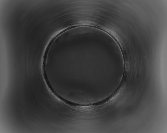 X0000095930995200801111251