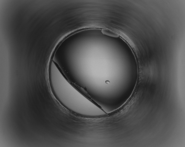 X0000095930996200801111251