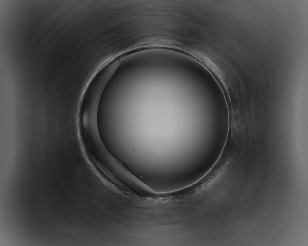 X0000095930997200801111251
