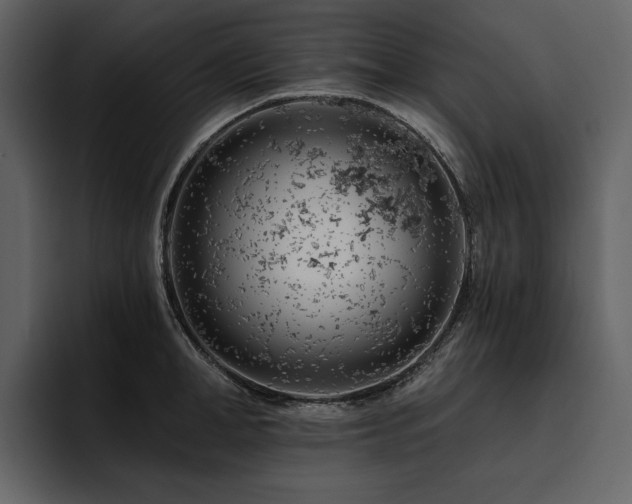 X0000095930998200801111251