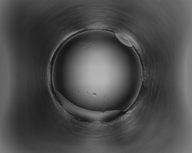 X0000095931000200801111251