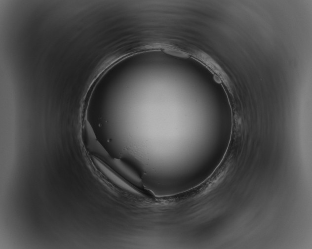 X0000095931002200801111251