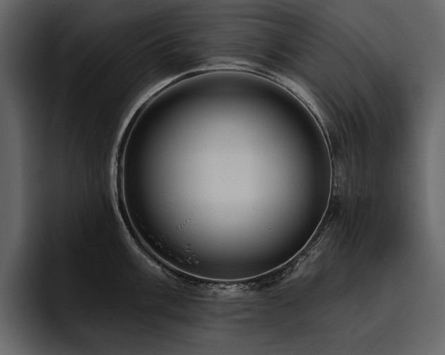 X0000095931003200801111251