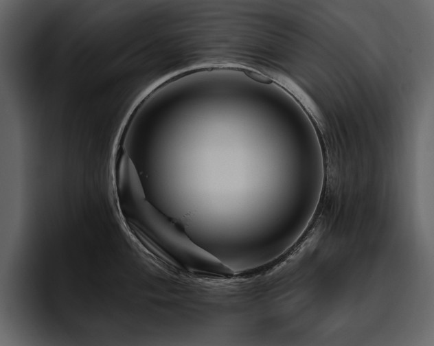 X0000095931004200801111251