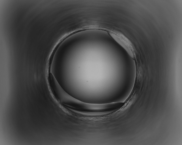 X0000095931005200801111251