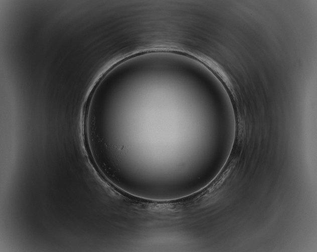 X0000095931006200801111251