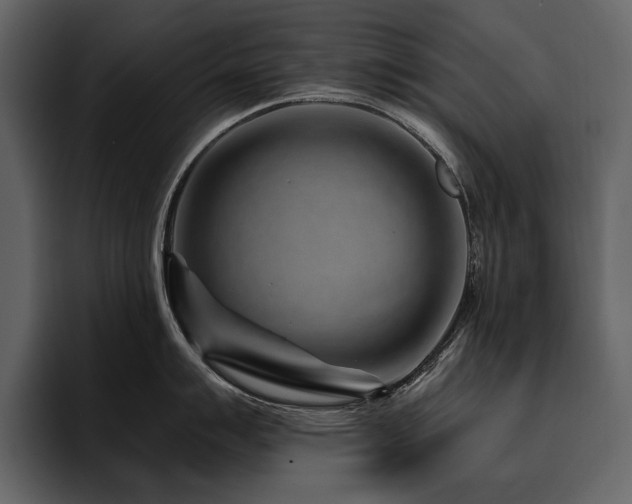 X0000095931007200801111251
