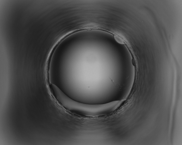 X0000095931008200801111251