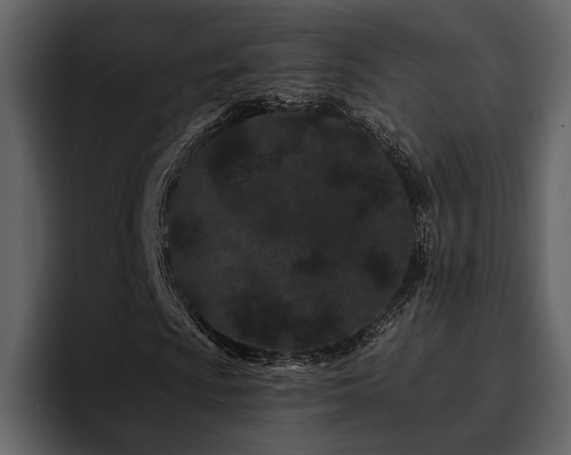 X0000095931009200801111251