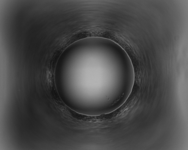 X0000095931010200801111251