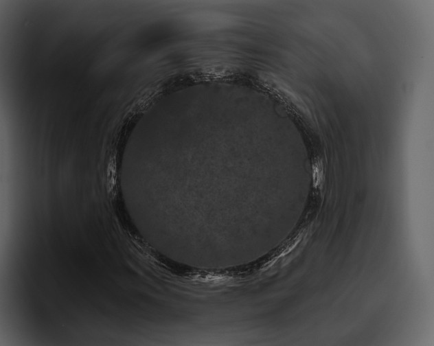 X0000095931011200801111251
