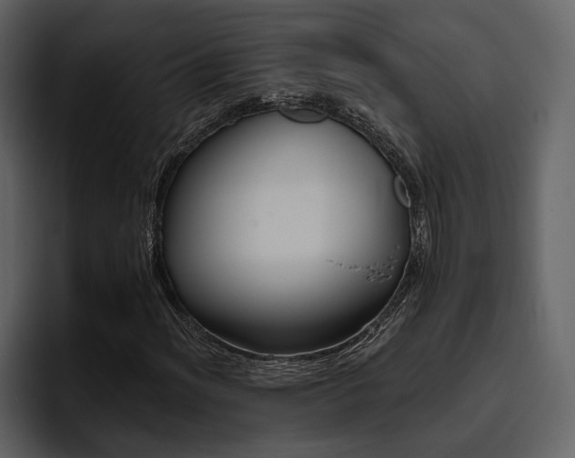 X0000095931012200801111251