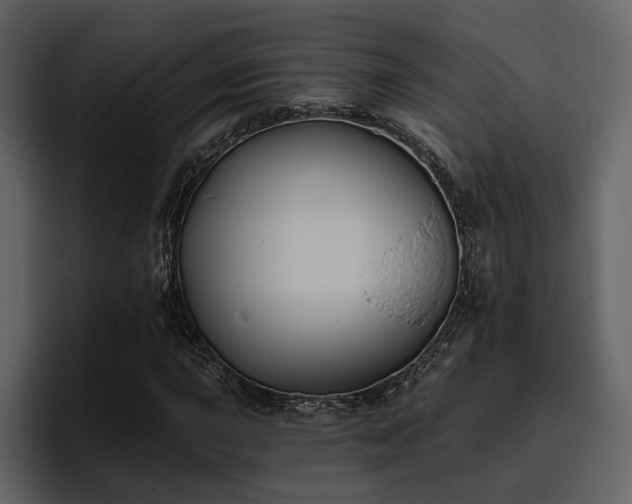 X0000095931015200801111251